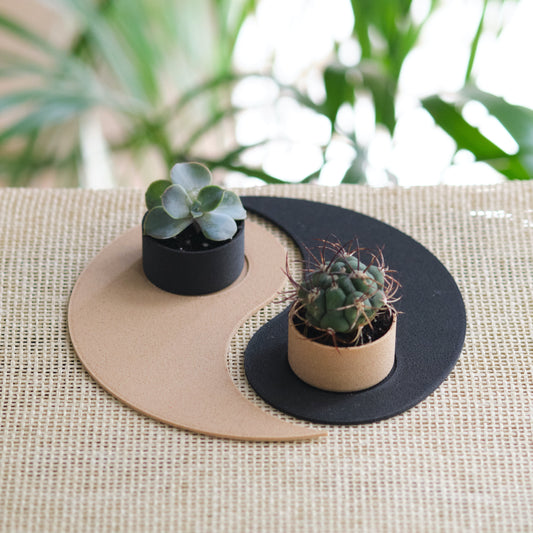 Duo pour plantes miniatures Yin-Yang | Yin-yang holder for miniature plants