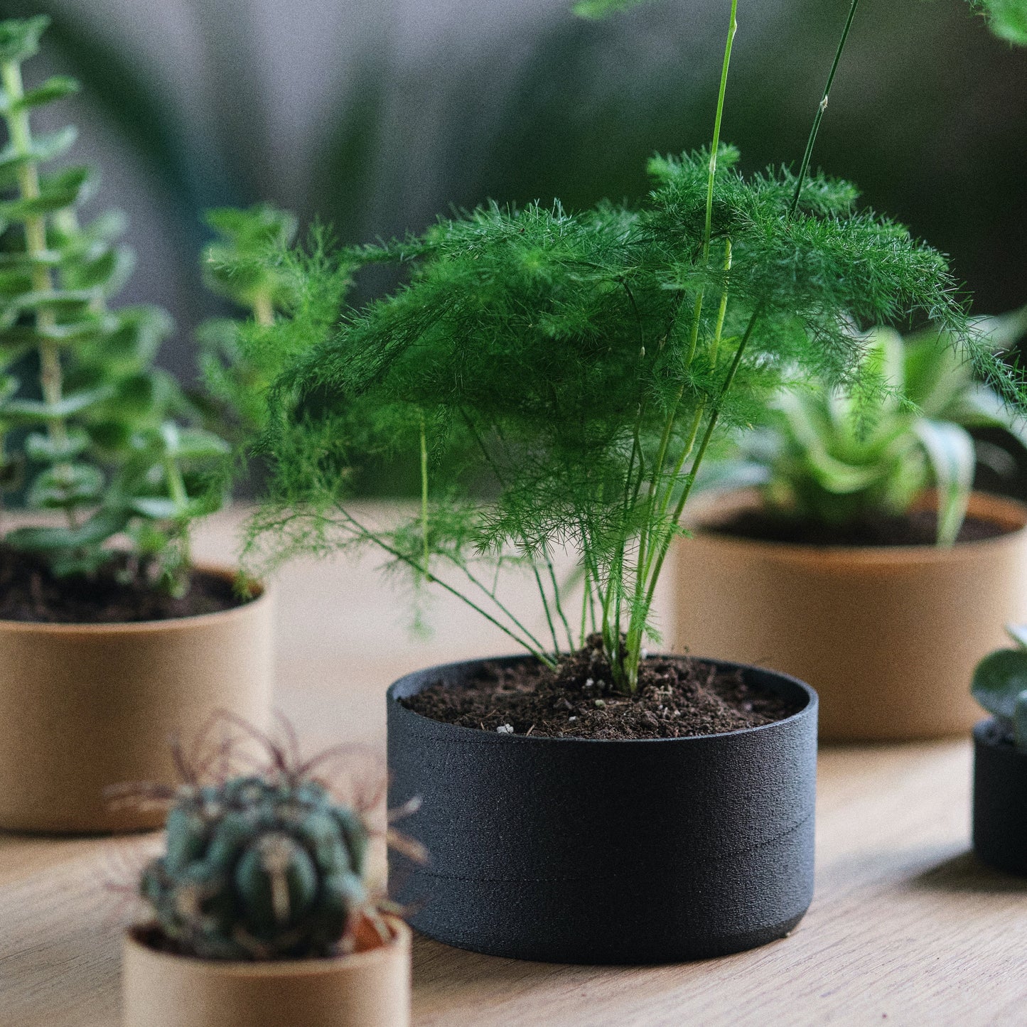 Pot de fleurs très simple d'inspiration Japonaise | Simple plant holder inspired by Japanese aesthetic