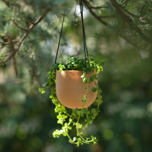 Pot suspendu élégant de couleur naturelle | Elegant suspended planter with a natural hue