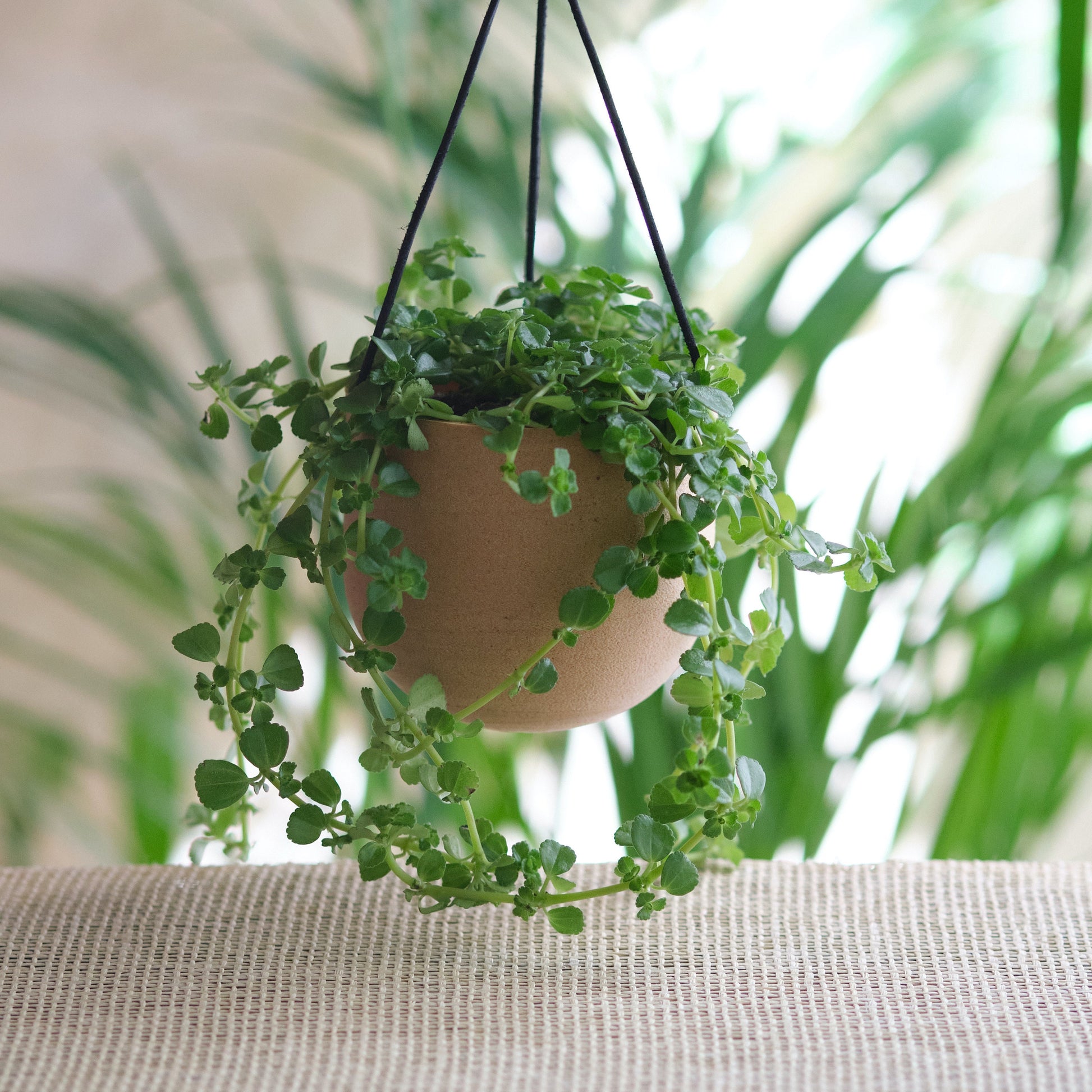 Pot suspendu de teinte naturelle| Enchanting Hanging Planter with Organic Hue